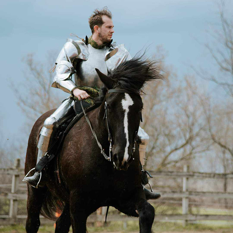 Sir Flanders trains on his horse so he can joust with the Knights of the New Order.