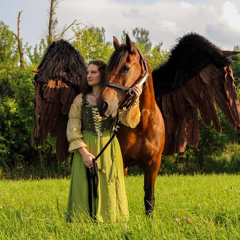 Lady Willow and Scout the Pegasus getting ready to travel with the Knights of the New Order.