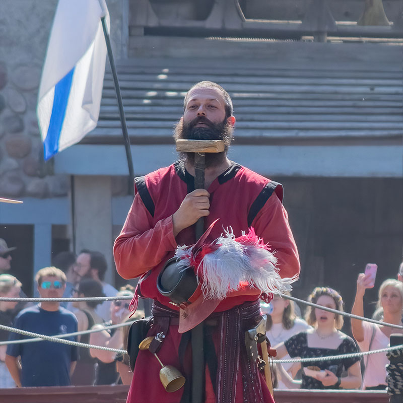 The Red Squire likes to have fun on the lyst in between the jousts of the Knights of the New Order.