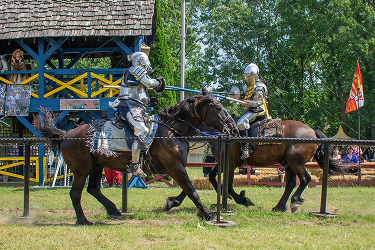 Sir Edward and Sir Garr joust at the Michigan Renaissance Festival